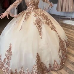 Brand New Quinceañera Dress 