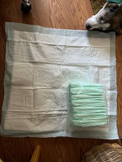 POTTY PADS