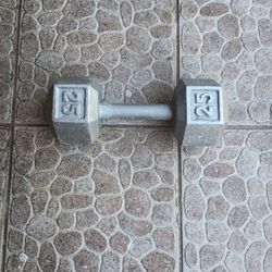Gym Dumbbell 