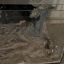 18 Gallon Tank Rimless