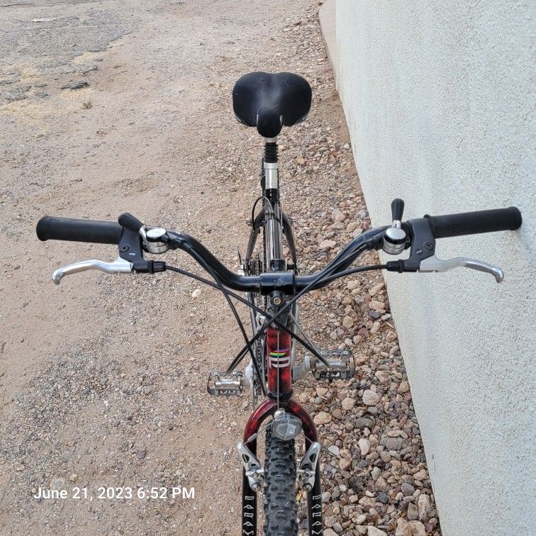Vintage Schwinn Paramount Series 50 PDG Mountain Bike for Sale in Tucson AZ OfferUp