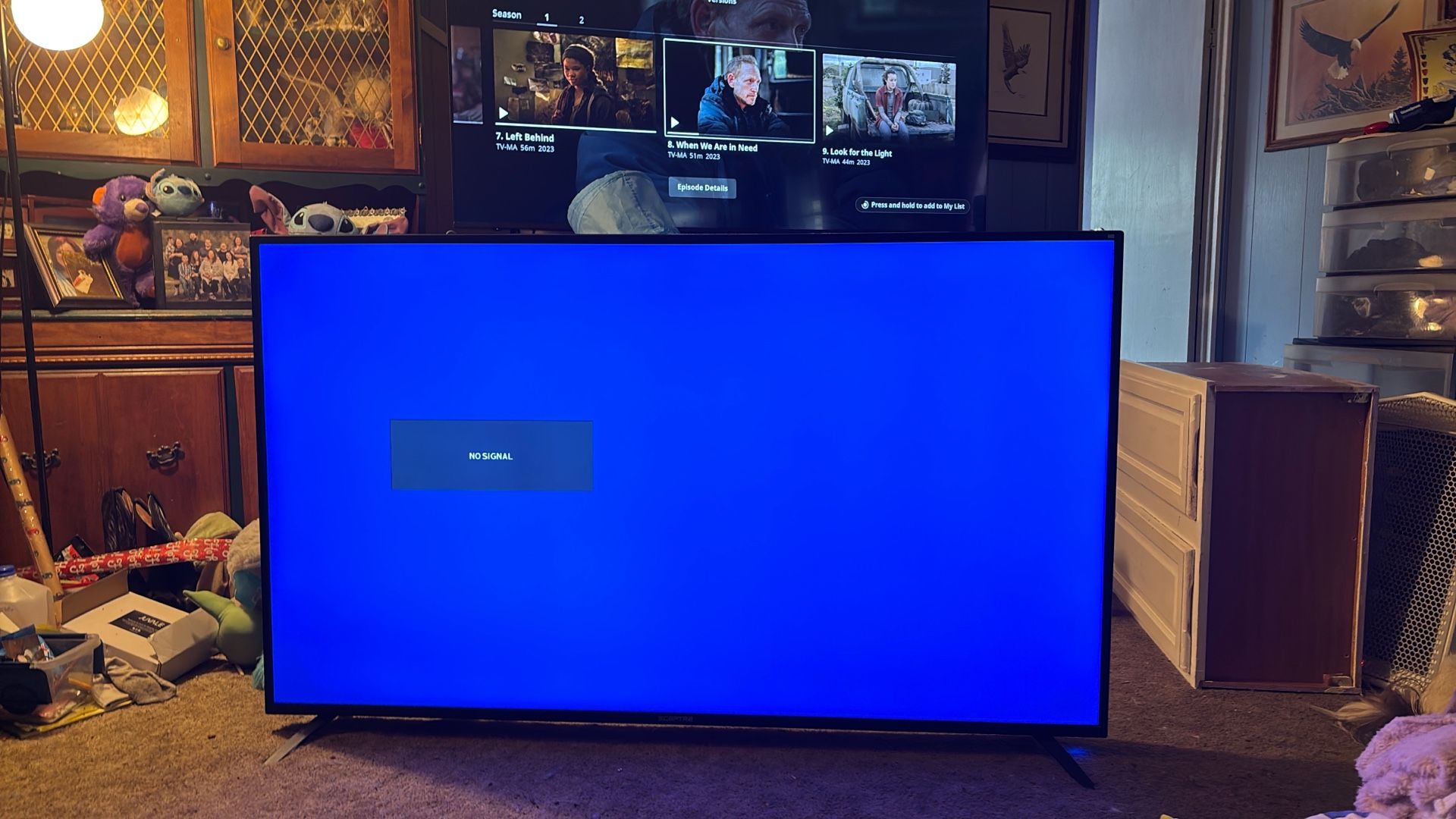 65” Sceptre Television