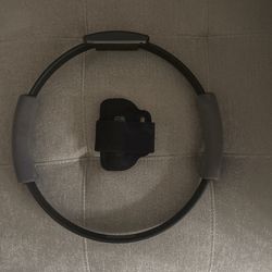 Ring Fit Adventure Equipment