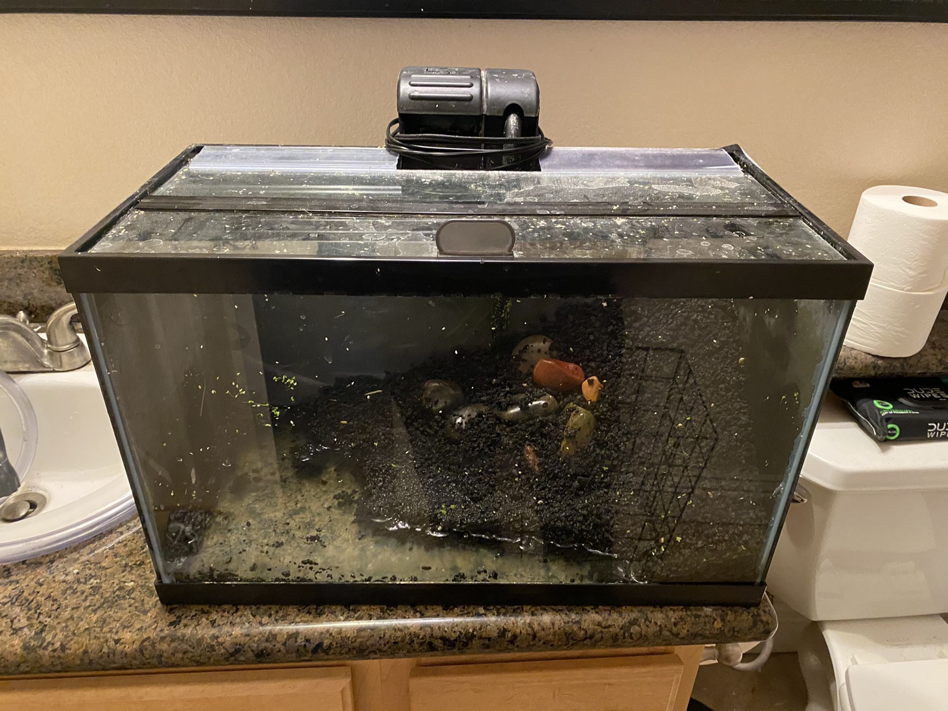 10 Gal with glass lid and filter for TRADE Reptile supplies