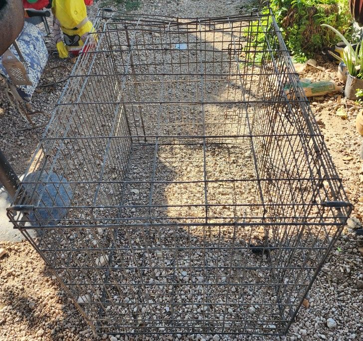 Dog Kennel