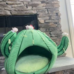 Cat/dog Cactus Bed