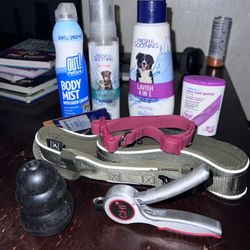 Puppy And Dog Cleaning Hygiene And Collars