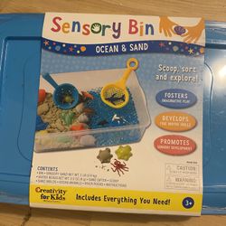 Sensory Bin