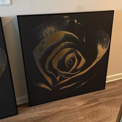 Double paintings 
