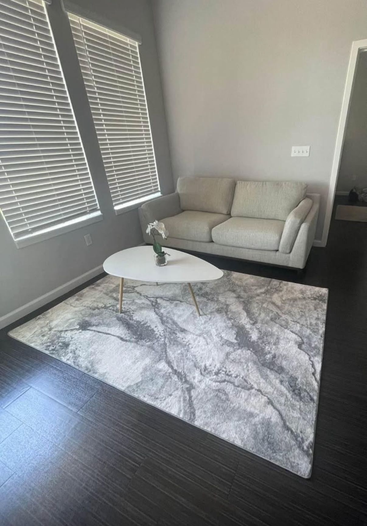 Sleeper Sofa