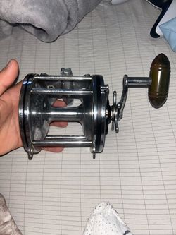 Penn senator 6/0 great for sharks and trolling of boat