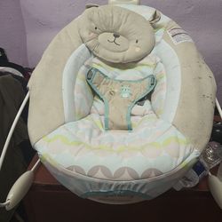 Baby bouncer