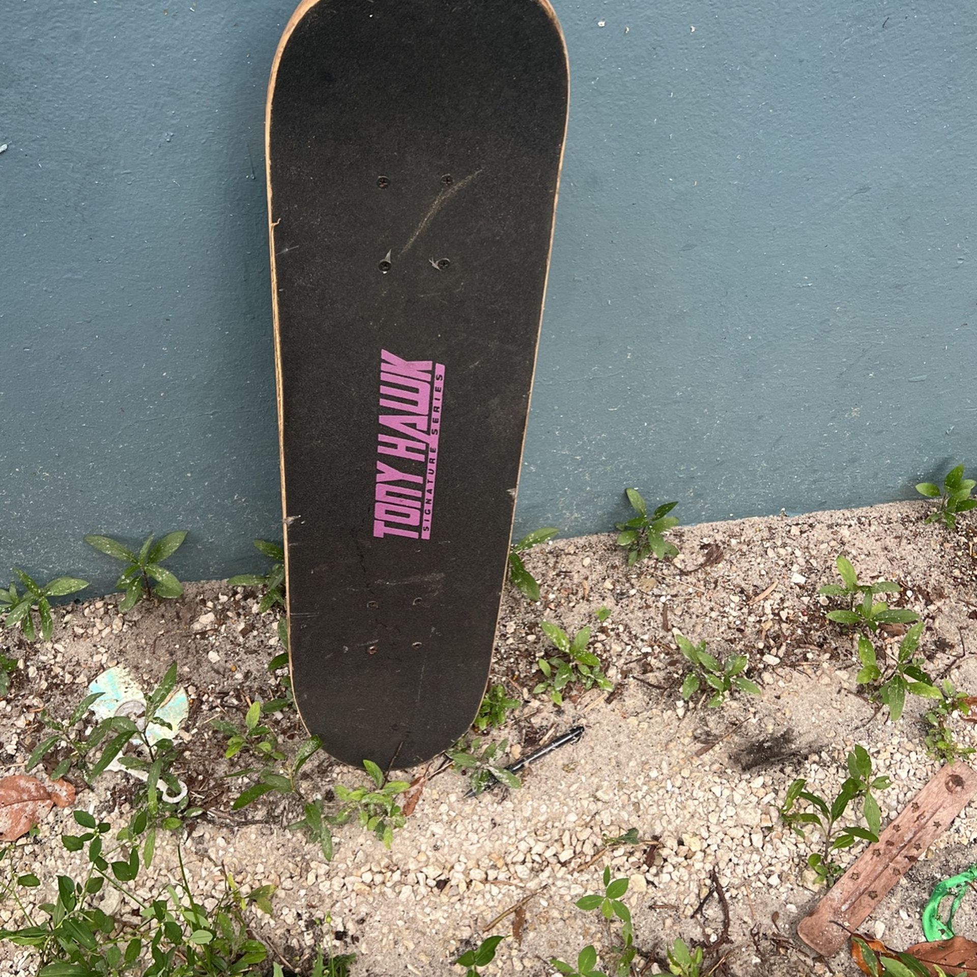 Towny Hawk Skateboard