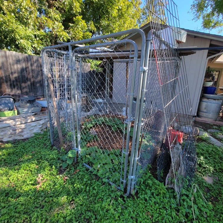 6' X 6' Chain Link Kennel