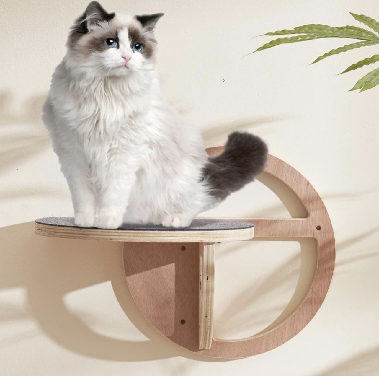 Floating Cat Perch Wall Shelf Fits All Cats