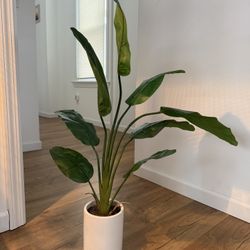 Artificial Decorative Plant - Medium   