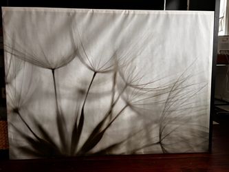 Wall decor Frame art