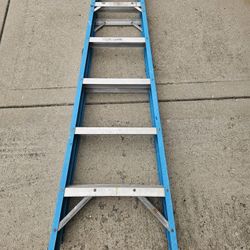 6 Foot Ladder 