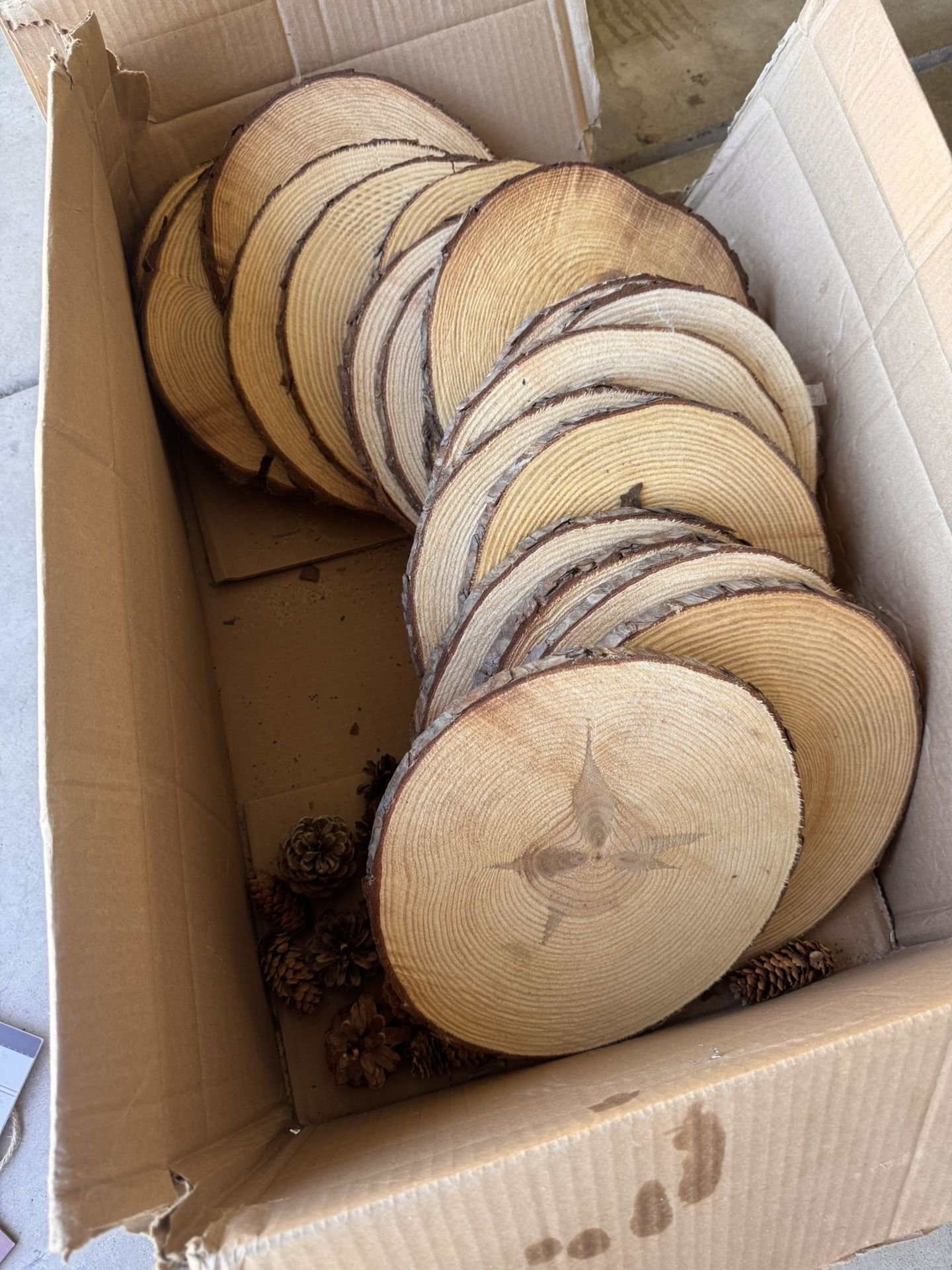 Center piece Wood Slice