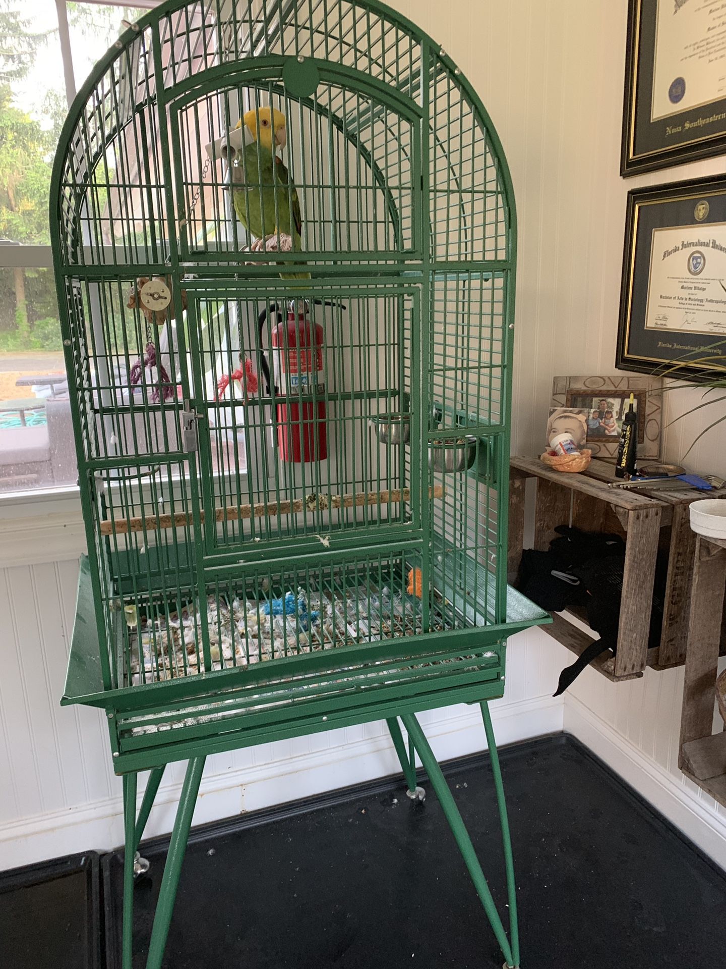 Large green bird cage on wheels