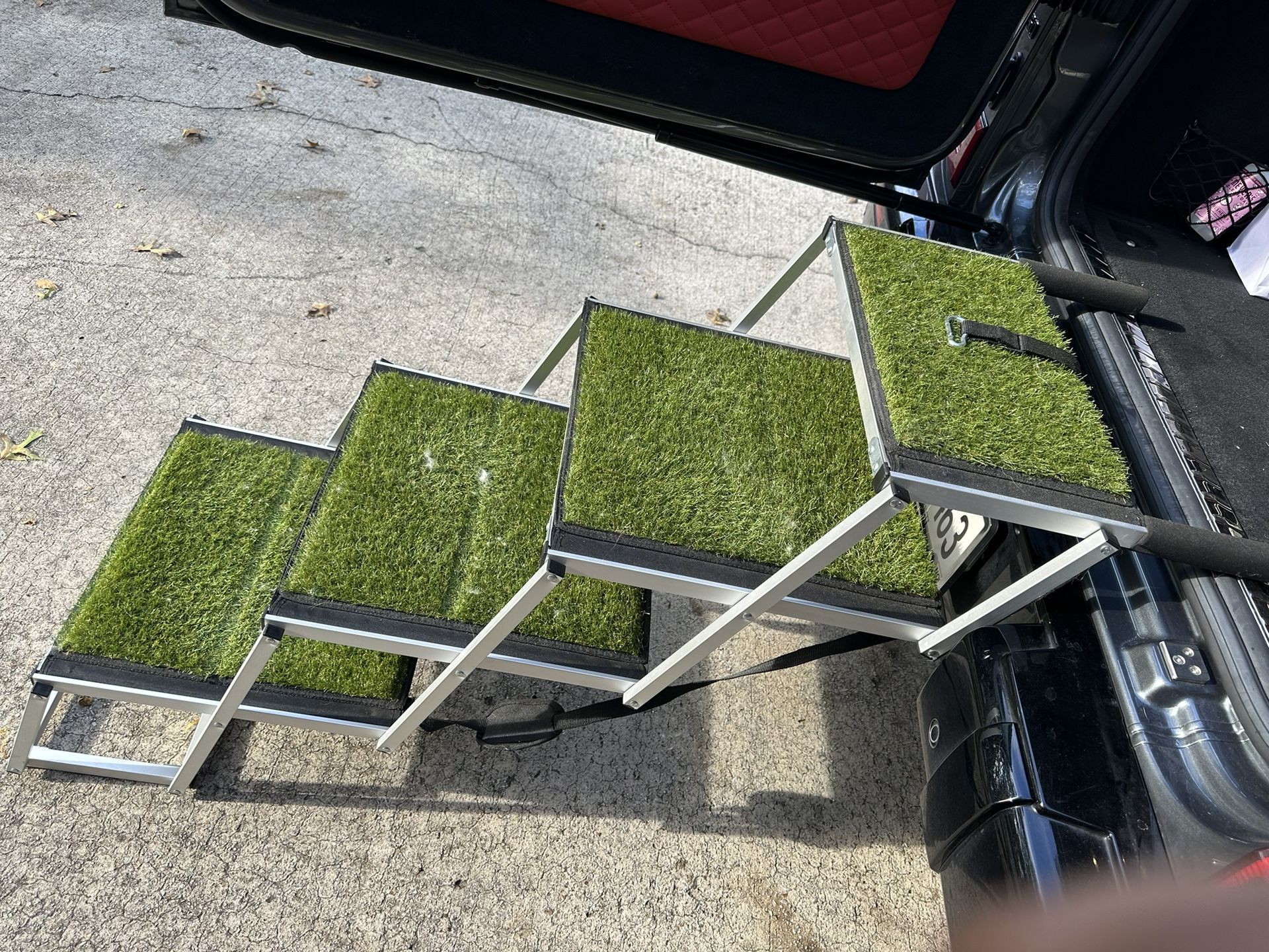 Pet ramp Extra Wide