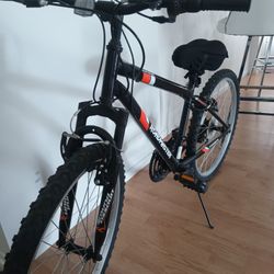 Road Master Bicycle 