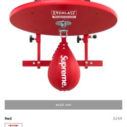 Supreme Everlast Speed Bag