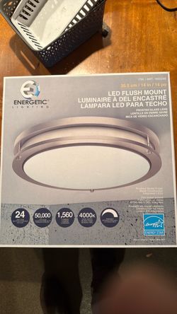 Energetic Lighting 14-Inch LED Flush Mount Light