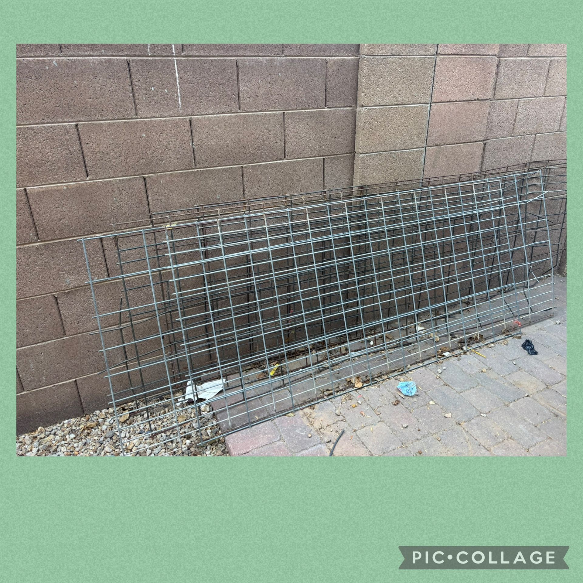 Goat Fence