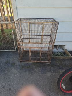 bird cage