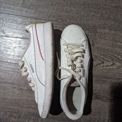 White Pumas