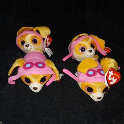 Toys For Pet 