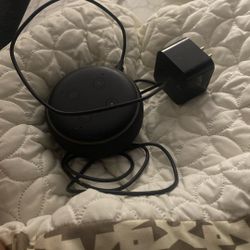 ALEXA speaker 