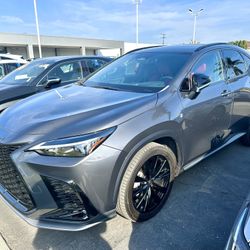 2024 Lexus NX 350