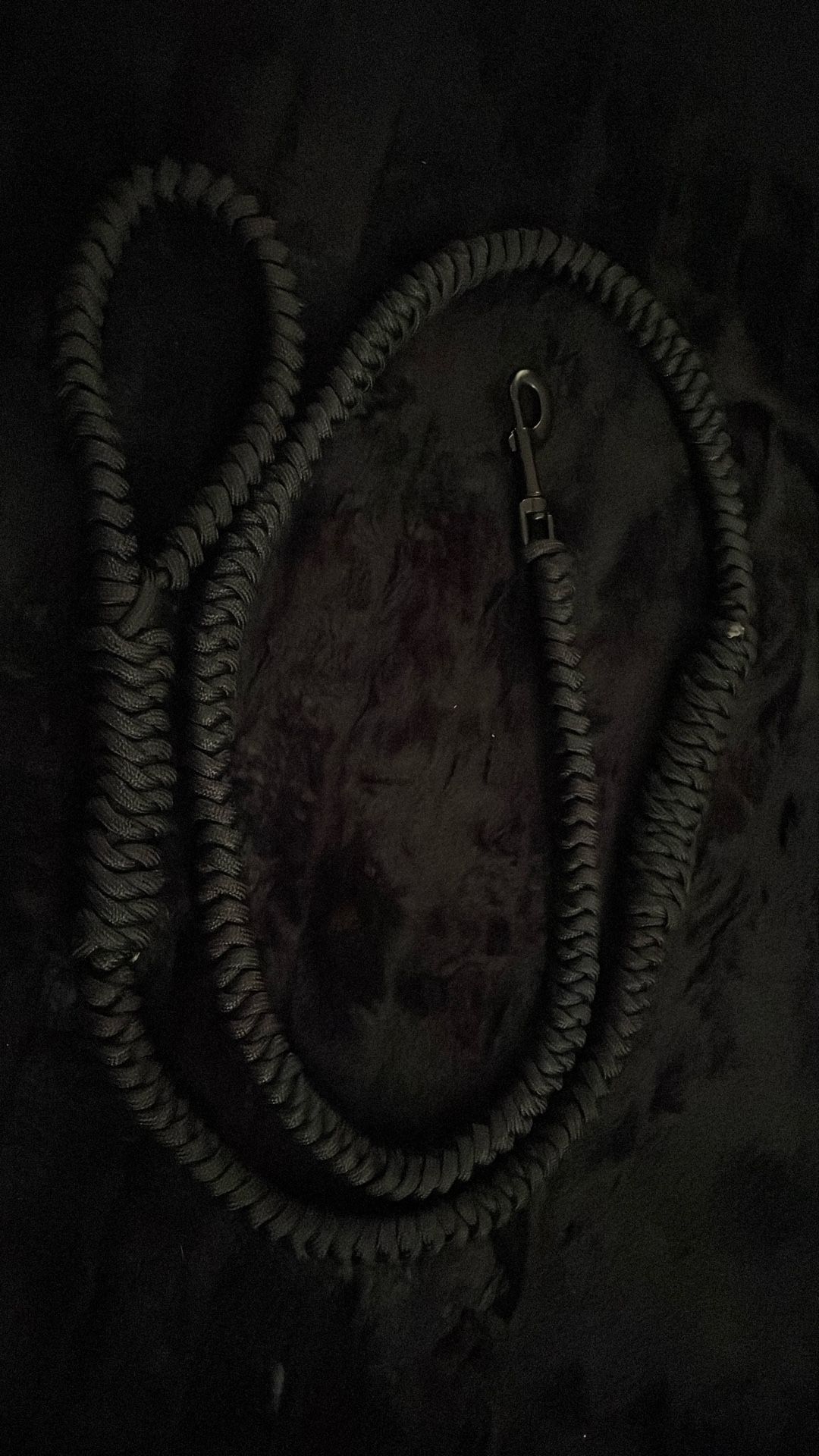 6’ Paracord Pet Leash