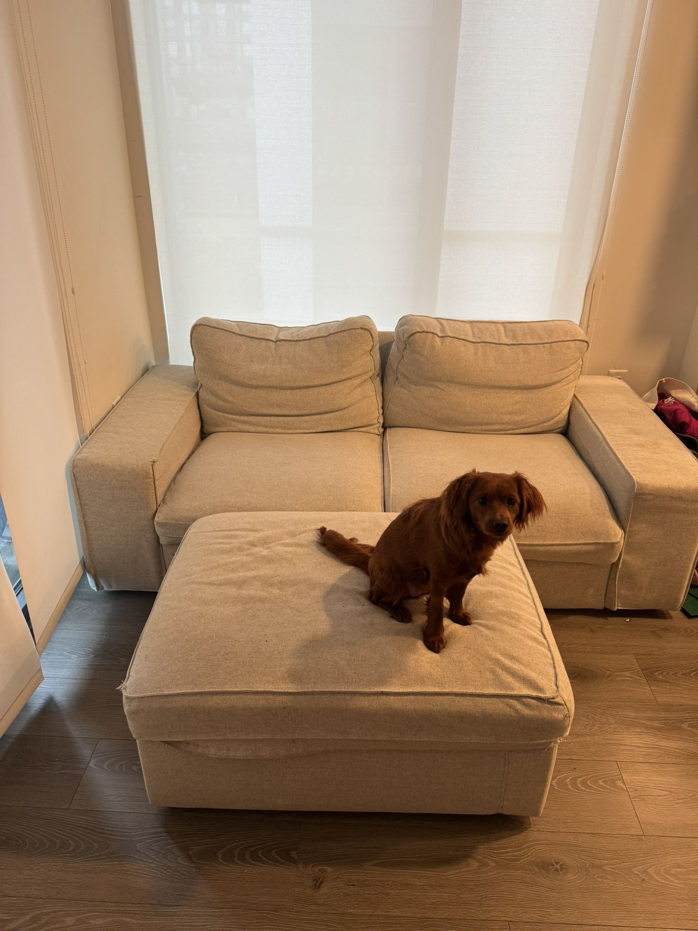 IKEA Couch With Ottoman