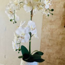 Artificial Orchid 