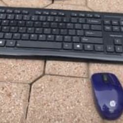 HP Mouse, Blackweb Keyboard 