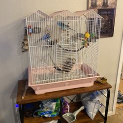 Bird Cage