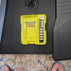 Ryobi 40 V Charger 