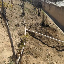 Free clean dirt
