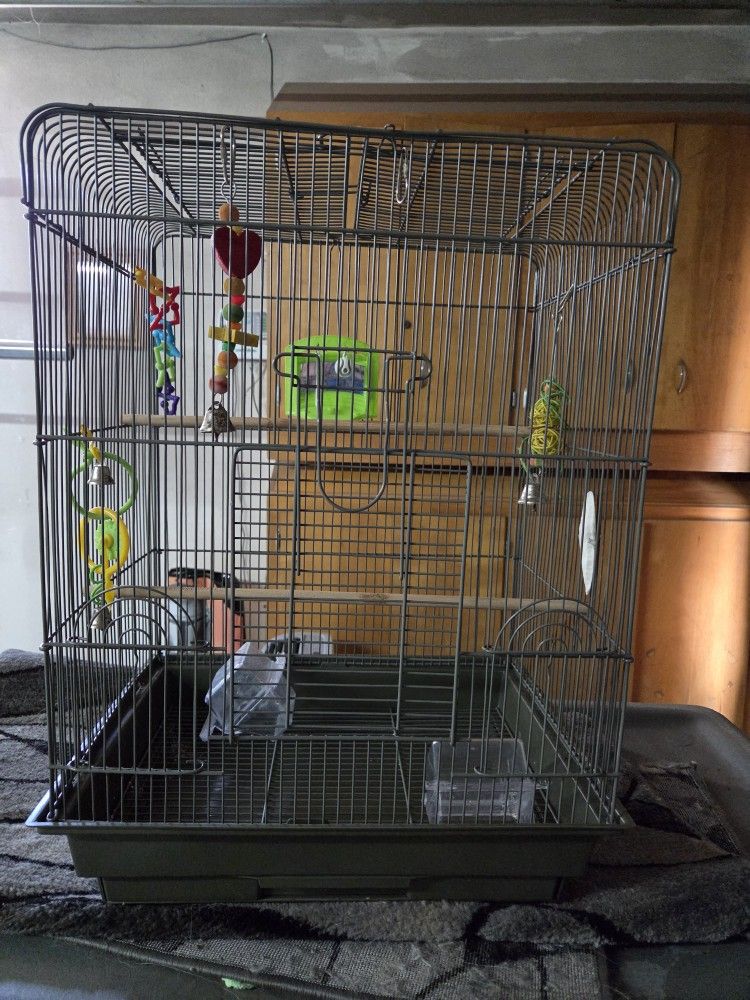 Bird Cage