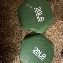 20lb Dumbbell Set 