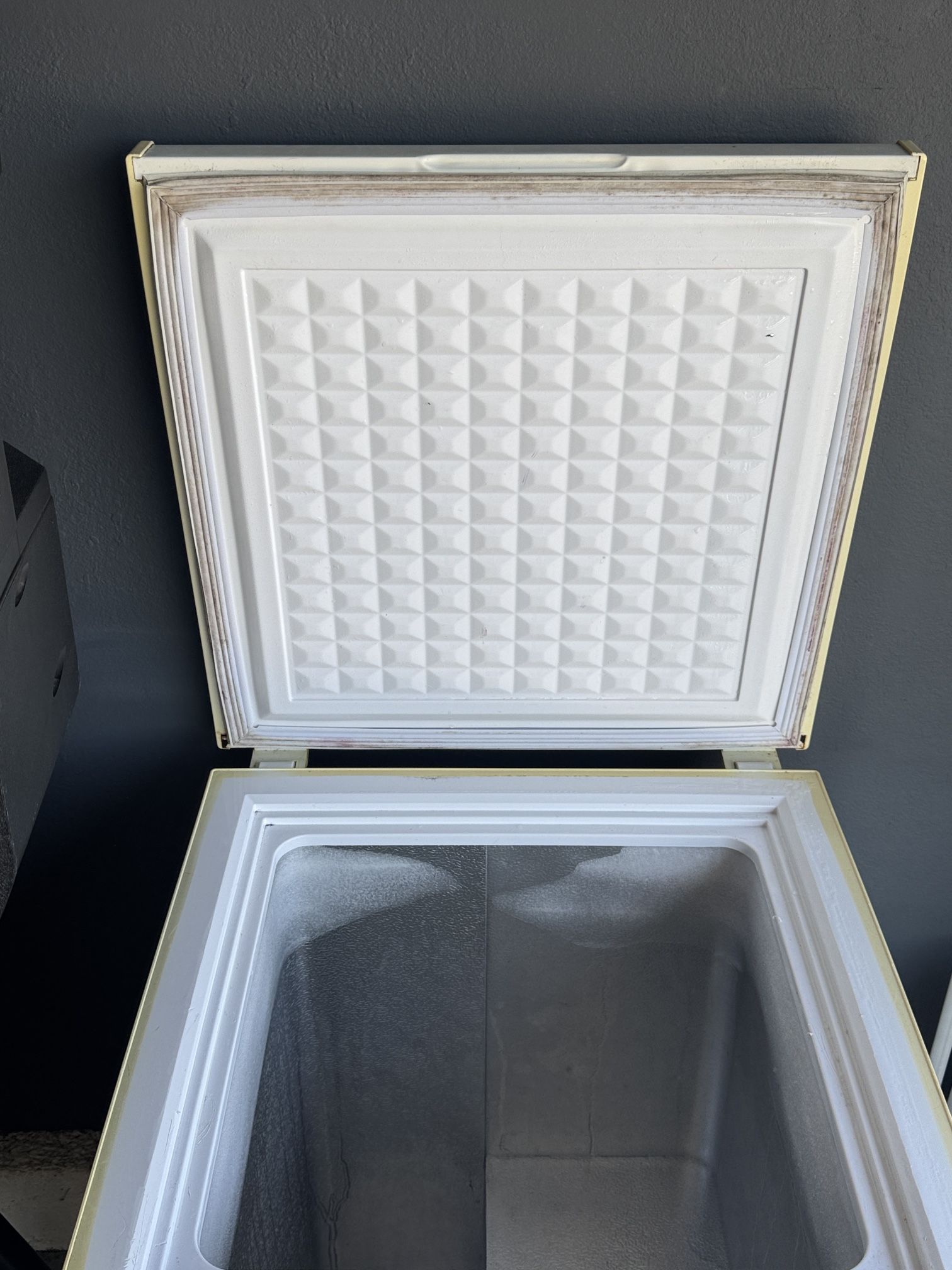 Igloo Chest Freezer $100