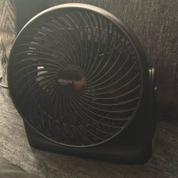 Fan