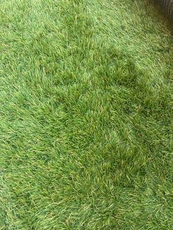 Premium used turf