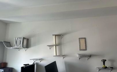 5 Pcs Cat Wall Shelves Set, Gray 🐱