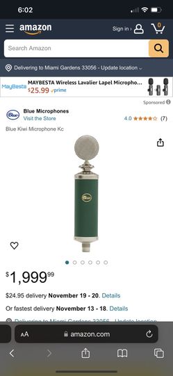 Blue Kiwi Microphone 