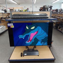 OLED  55 Inch LG