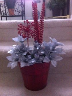 Silver and red Christmas container